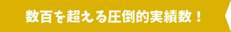 数百を超える圧倒的実績数！